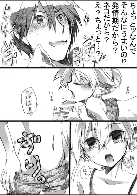 にゃんこのいる生活