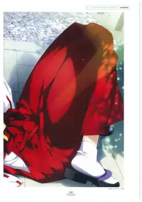 LOVELY CATION 1&2 VISUAL FAN BOOK