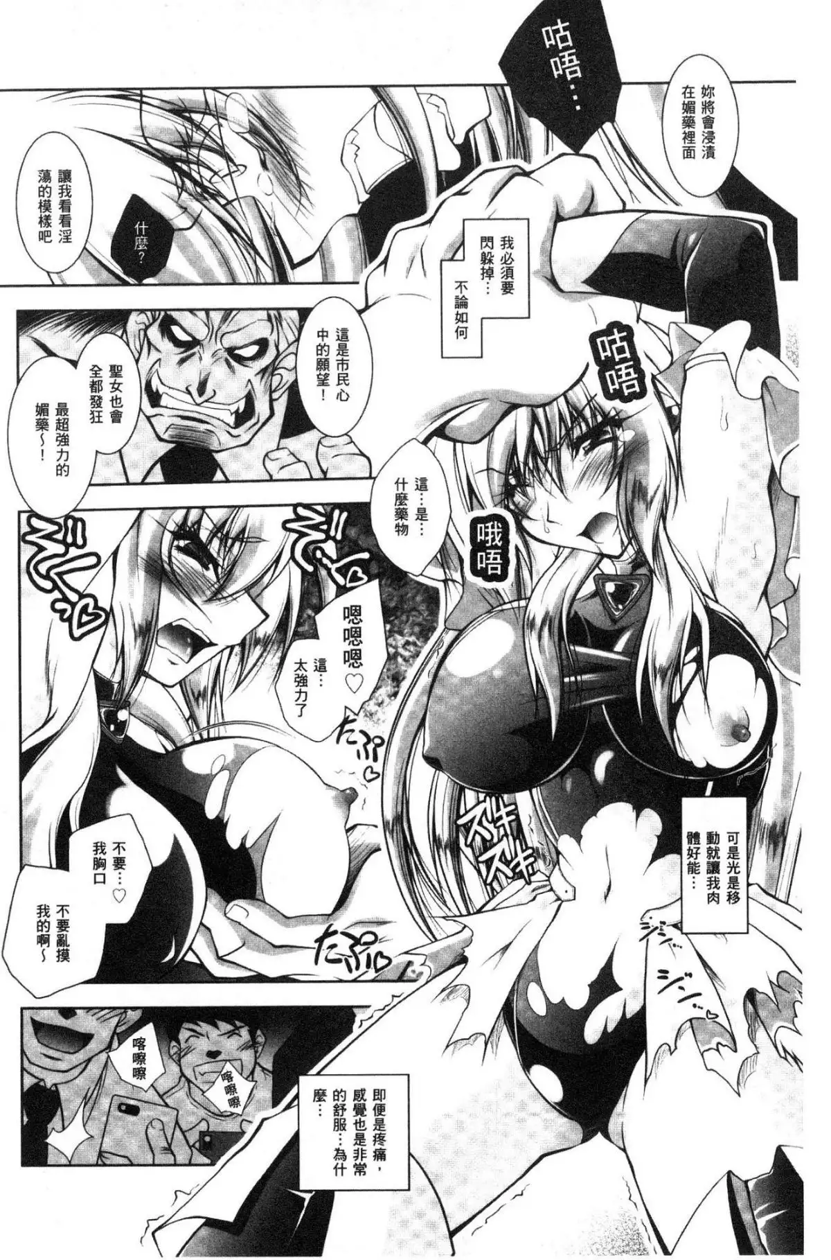 Fallen Justice -Seigi Shittsui-