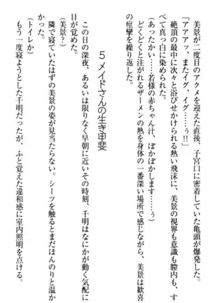 年上メイドの新婚日記