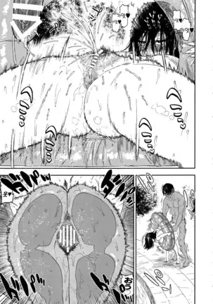 Koisugi | 코이스기