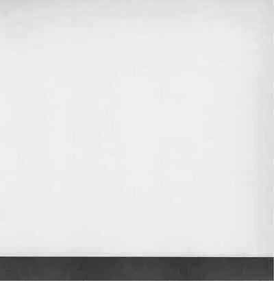 深い森の影から