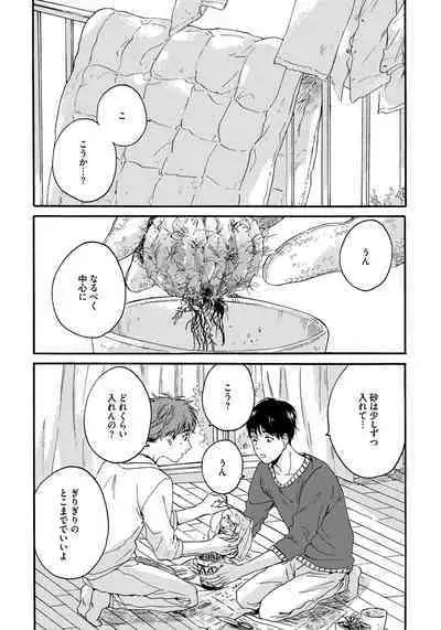 Noazami no Koi - The love of field thistle.