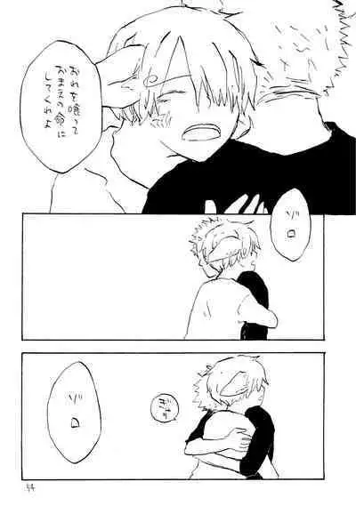 海の虹が沈む森