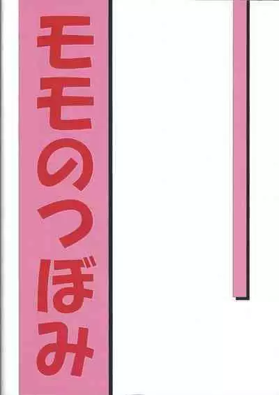 (CR32) [Momo no Tsubomi (Various)] Puchieru Eru (Various)