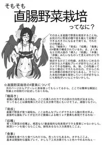 [silk] 直腸野菜栽培解説本 (Kyoukai Senjou no Horizon)
