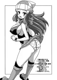 (SC65) [Haguruman (Koutarosu)] Hikari to Haruka no Hon (Pokémon) [English] {doujin-moe.us}