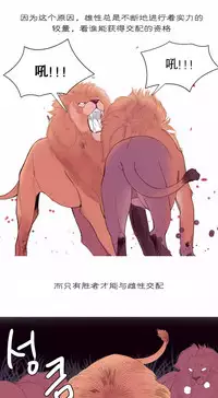 [Rozer] A World that I Rule | 我统治的世界 Ch.1-28 [Chinese]