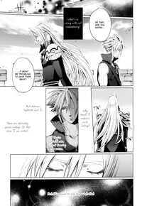 (C80) [nightflight (Yui)] Kioku no Niwa 1 | Garden of Memories 1 (Dissidia Final Fantasy) [English]