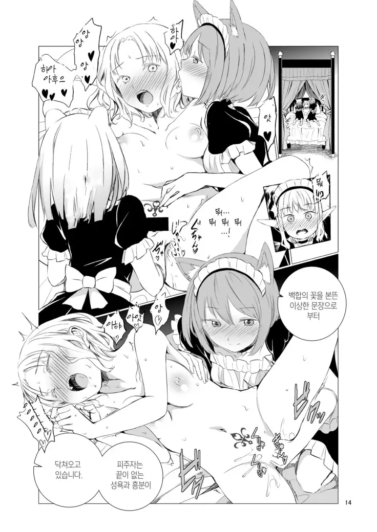 Yuri Sekai | World of Yuri | 유리 세계