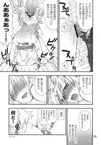 (Toramatsuri 2010) [Aa Aishiteru (Taishow, BUSHI)] Toramimi Hon (Bakemonogatari, Baka to Test to Shoukanju)