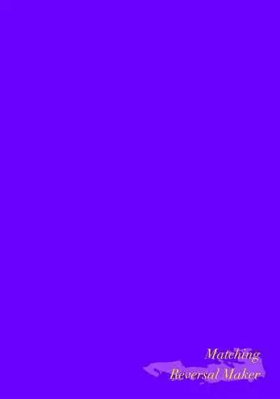 [34Banchi] Matching Reversal Maker 1-3 | Matching Reversal Maker 1-3 [Chinese] [莉赛特汉化组]