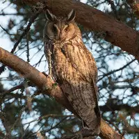 (C90) [Hitodenashi (Take)] Hazure Yuusha no Kichiku Gedou [Chinese] [虎斑木菟漢化]