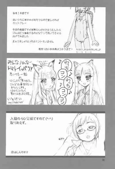 (C74) [Mutekei Fire (Various)] Tareme Paradise 15 (Various)