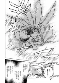 [Shibata Masahiro] Sarai Vol.10