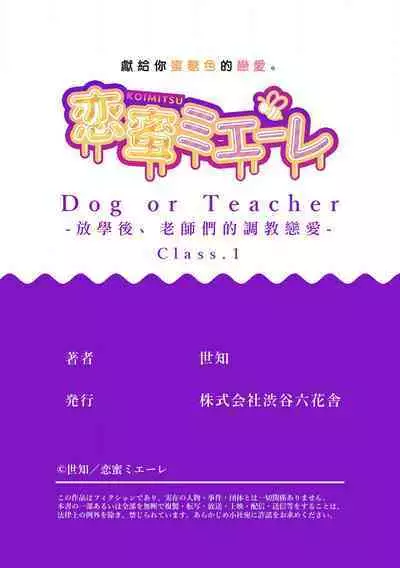 [Sechi] Dog or tīchā - hōkago, sensei-tachi no shitsuke ke ai - | Dog or Teacher-放学后，老师们的调教恋爱- Class.1-3 [Chinese] [莉赛特汉化组]