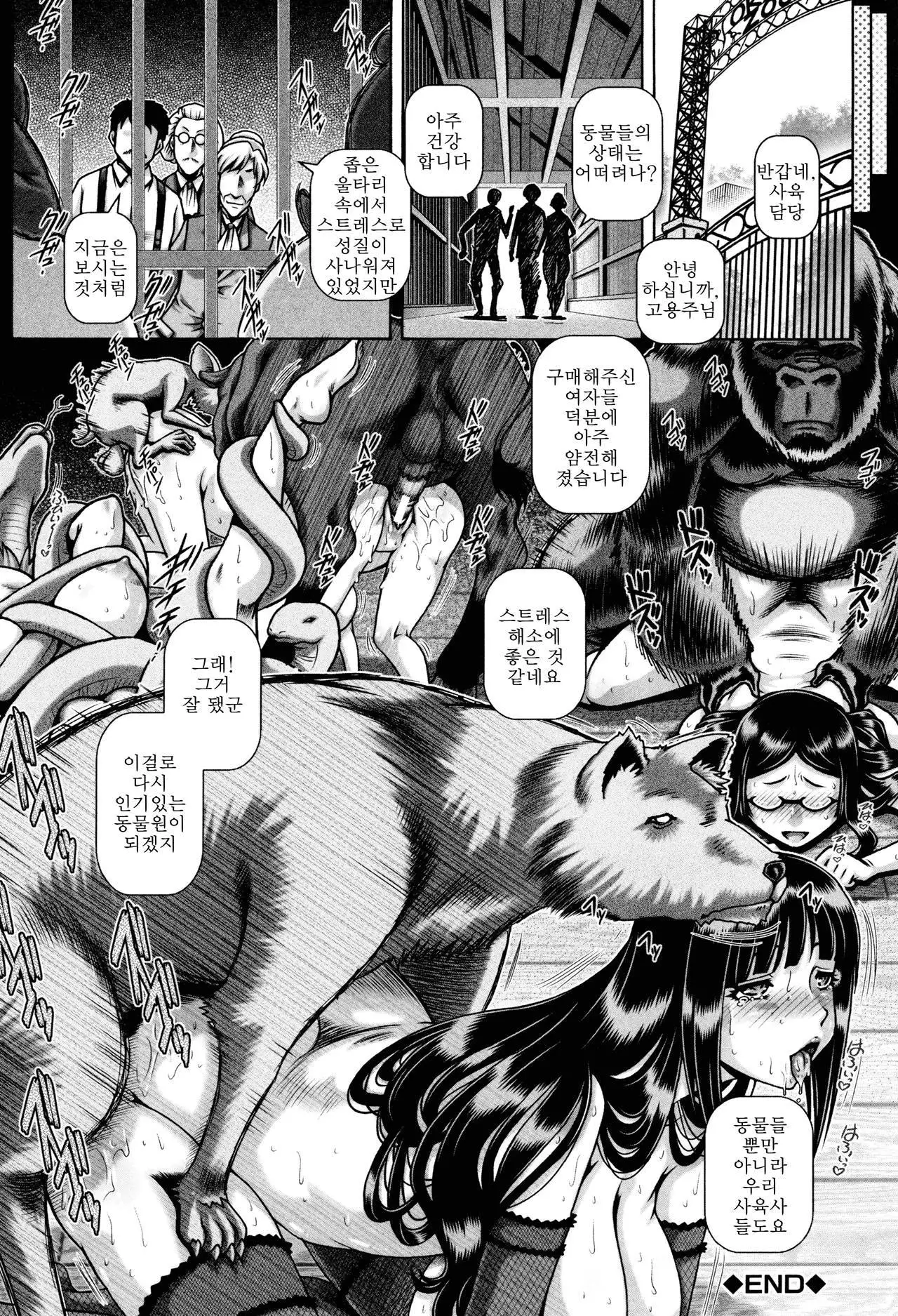 Jyuai Kantsu | 수애간통