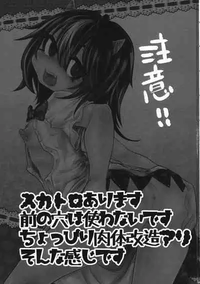 (C85) [Nejiya no Hito (Niwa Yukari)] Kiraware Acme Seija-chan | 喜欢恶作剧的正邪酱 (Touhou Project) [Chinese]