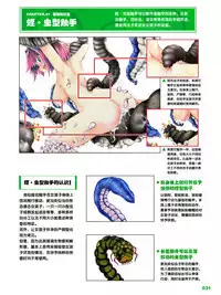 How to Draw the Shokusyu
