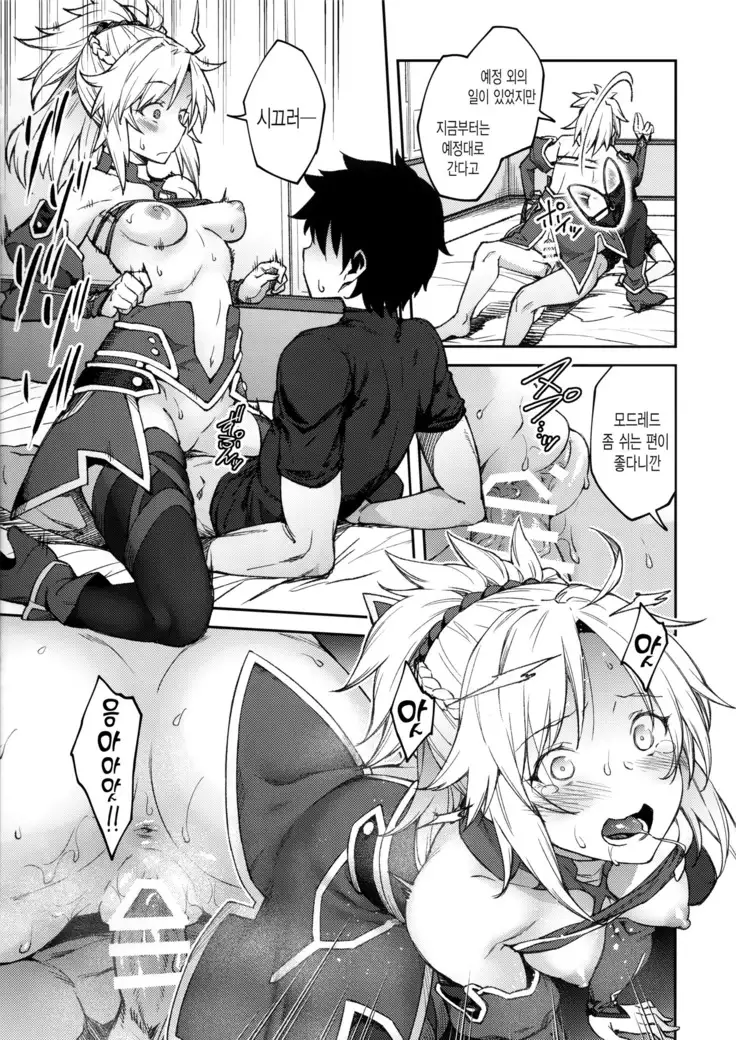 Chaldea Life II | 칼데아 라이프 II