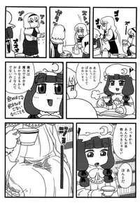 (Aka no Hiroba 8) [Surudoiman no Irutokoro (Norihito)] Patchouli ga Ippai (Touhou Project)