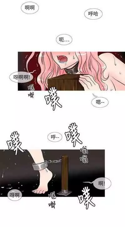 小野貓馴服手冊