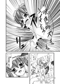 (C76) [Endless Requiem (yasha)] Midare Gensou -Remilia hen- (Touhou Project) [Chinese] [随手汉了个化]