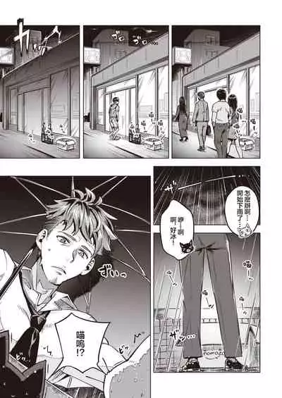 Oshikake Nyanko | 不请自来的小猫