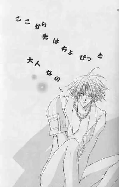 [D-Amb (Chitose Piyoko)] Karasu no Mado (Final Fantasy X)