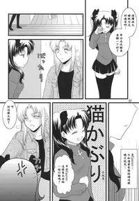 (C74) [einfach (Tomoya)] A Midsummer Night's Dream (Fate/stay night) [Chinese] [wl00314824個人漢化] [Incomplete]