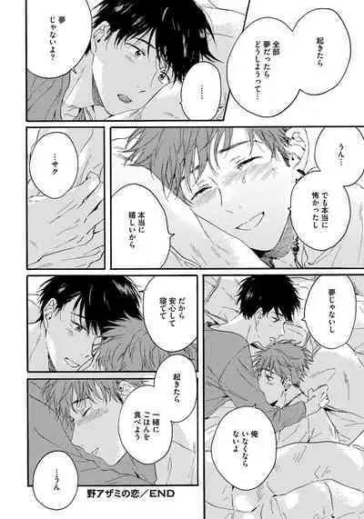 Noazami no Koi - The love of field thistle.