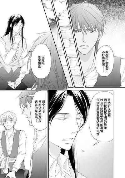 sabaku no ōji to kaizoku hime | 沙漠王子与海盗公主