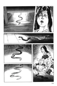 [Koike Kazuo, Kojima Goseki] Hanzou no Mon Vol.4