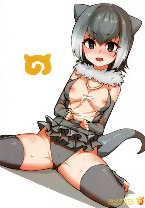 Vol.46 社保動物園