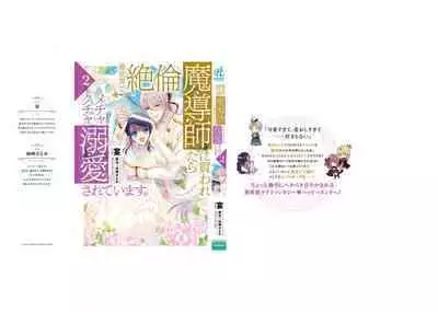 [Utage / Senzaki Hitomi] i sekai de zetsurin mado-shi ni kawa retara mechakucha dekiai sa rete imasu. | 在异世界被非凡的魔导师买下的话会被异常宠爱。 1-13 end [Chinese] [莉赛特汉化组]