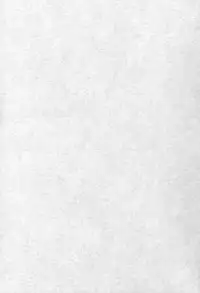 [Schwester (Shirau Inazaki)] Rollin 20 (Touhou Project)