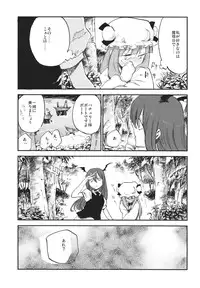 (Reitaisai 10) [Shironegiya (miya9)] Donten Library (Touhou Project)