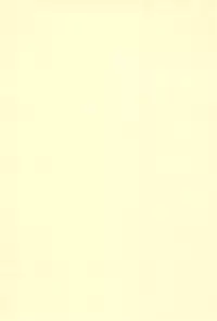 (C61) [Bikkuri Gyouten (Umino Dozaemon)] Crazy Love 2 (Digimon Adventure 02)