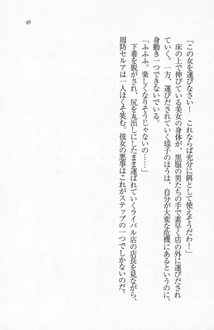 メイド喫茶　猫の隠れ家