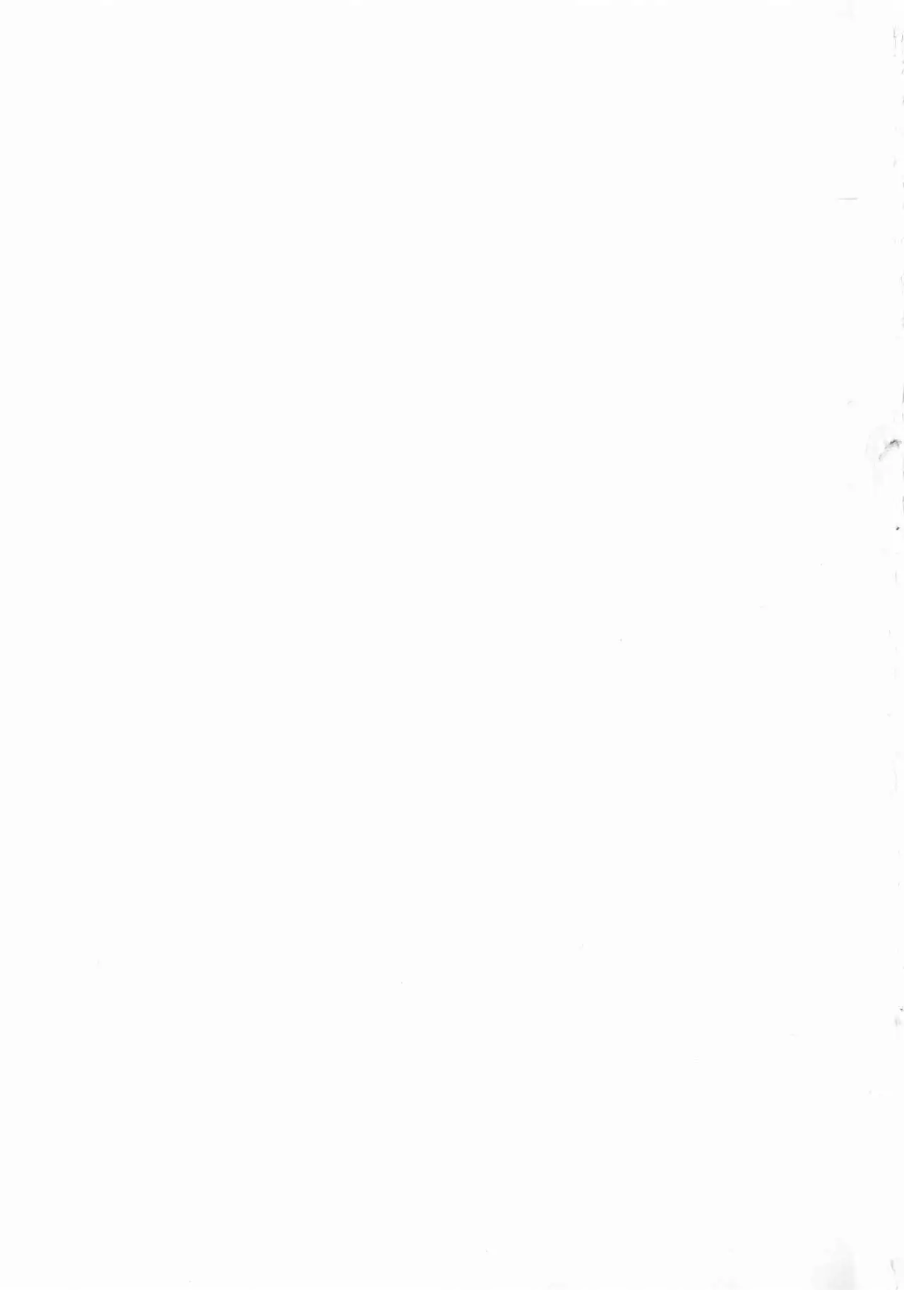 Momyuchichi♥ | 揉捏美型乳♥