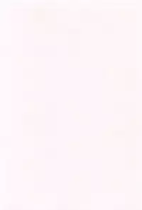 [Isawa Nohri] Kusuguttaino…Suki