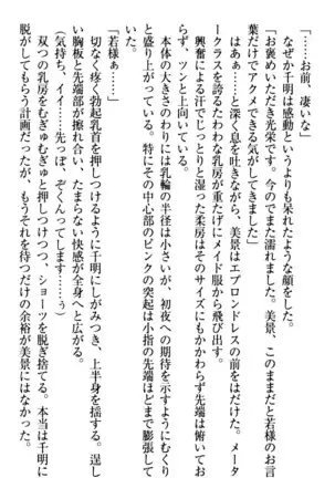 年上メイドの新婚日記