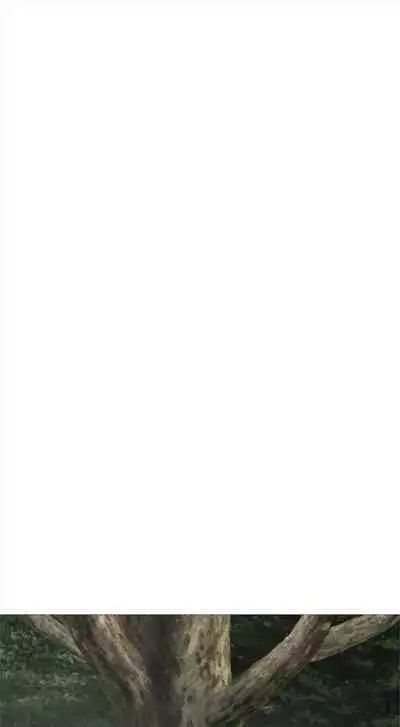 [龜足] S-Mate 1-100 官方中文（完結）