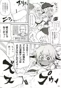 もっと染まって、鬼灯色に。(東方Project)