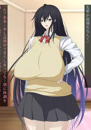 Fuuki Iinchou Akizuki Ryuuka no Netorare Choukyou Nisshi