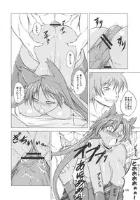 (C81) [JUNK×JUNK (kojou)] Suzume no Namida. (Rance Quest)