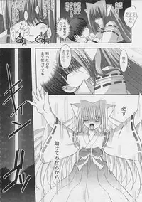 [ShikigamiAzuma]God Chome cat