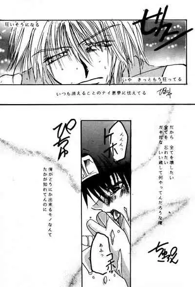 [RED DATA BOOK (Amano Ryuuki)] SHANGRILA (Saiyuki)