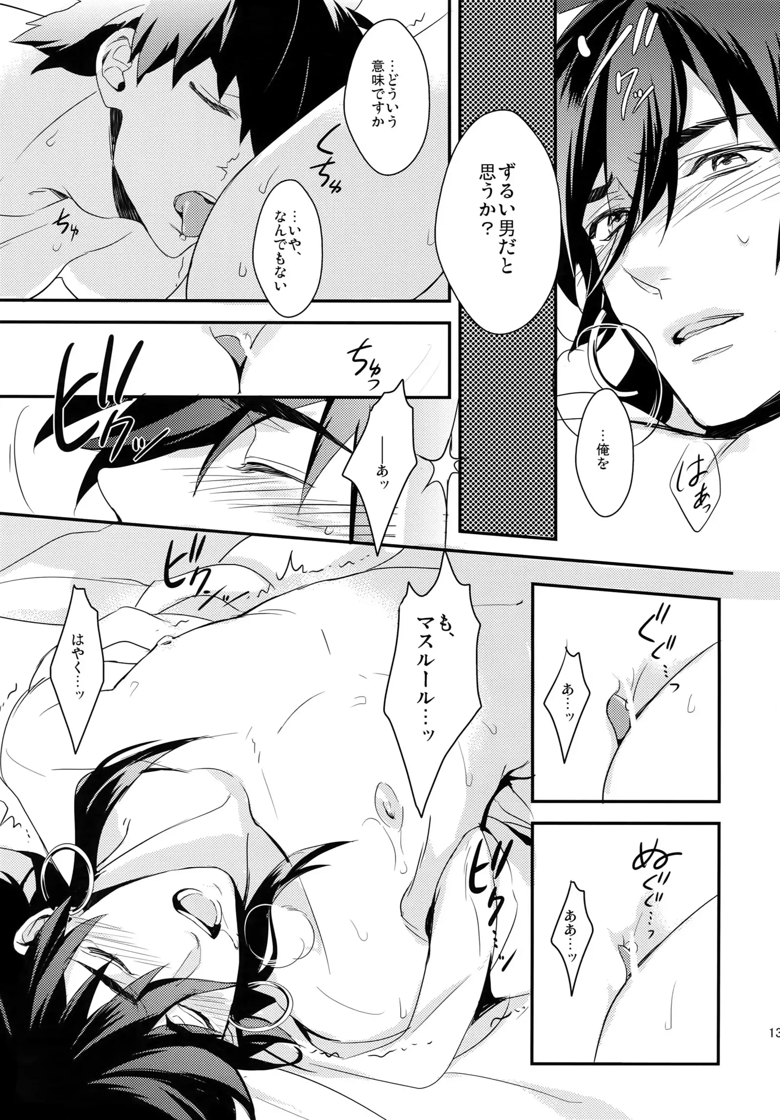 PureSlider. Sairoku 2011 - 2012