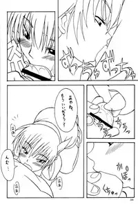 (C62) [Akkan-Bi Project (Yanagi Hirohiko)] ACTG II (Dead or Alive)